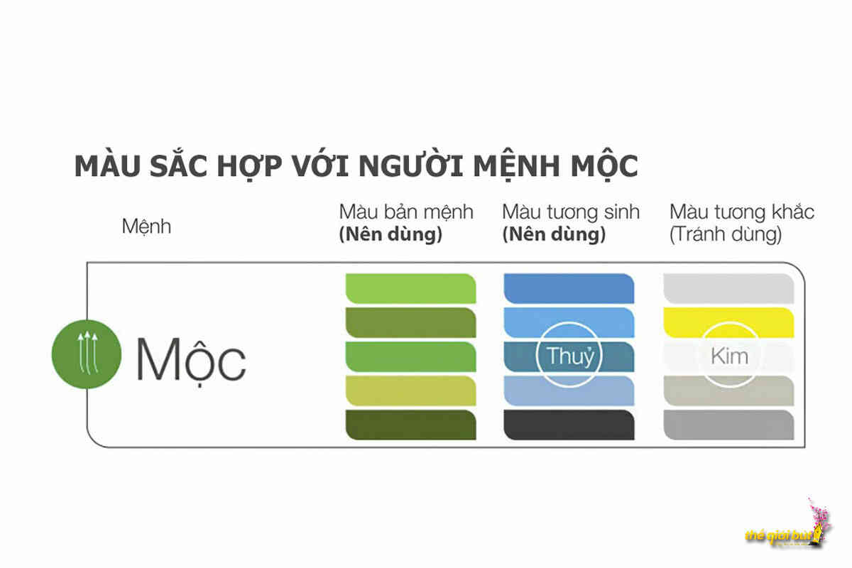 Cách Lựa Chọn Bút Ký Cho Người Mệnh Mộc