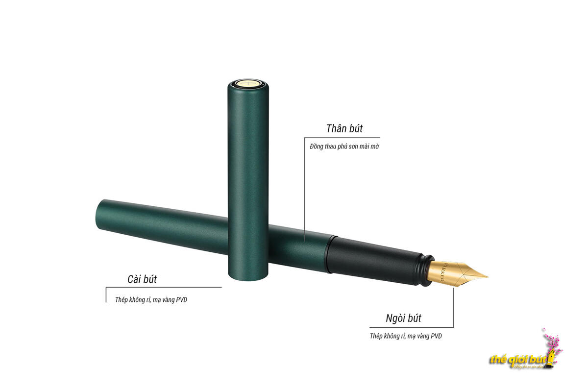 Bút máy Parker Vector XL Matte Green GT Fountain Pen