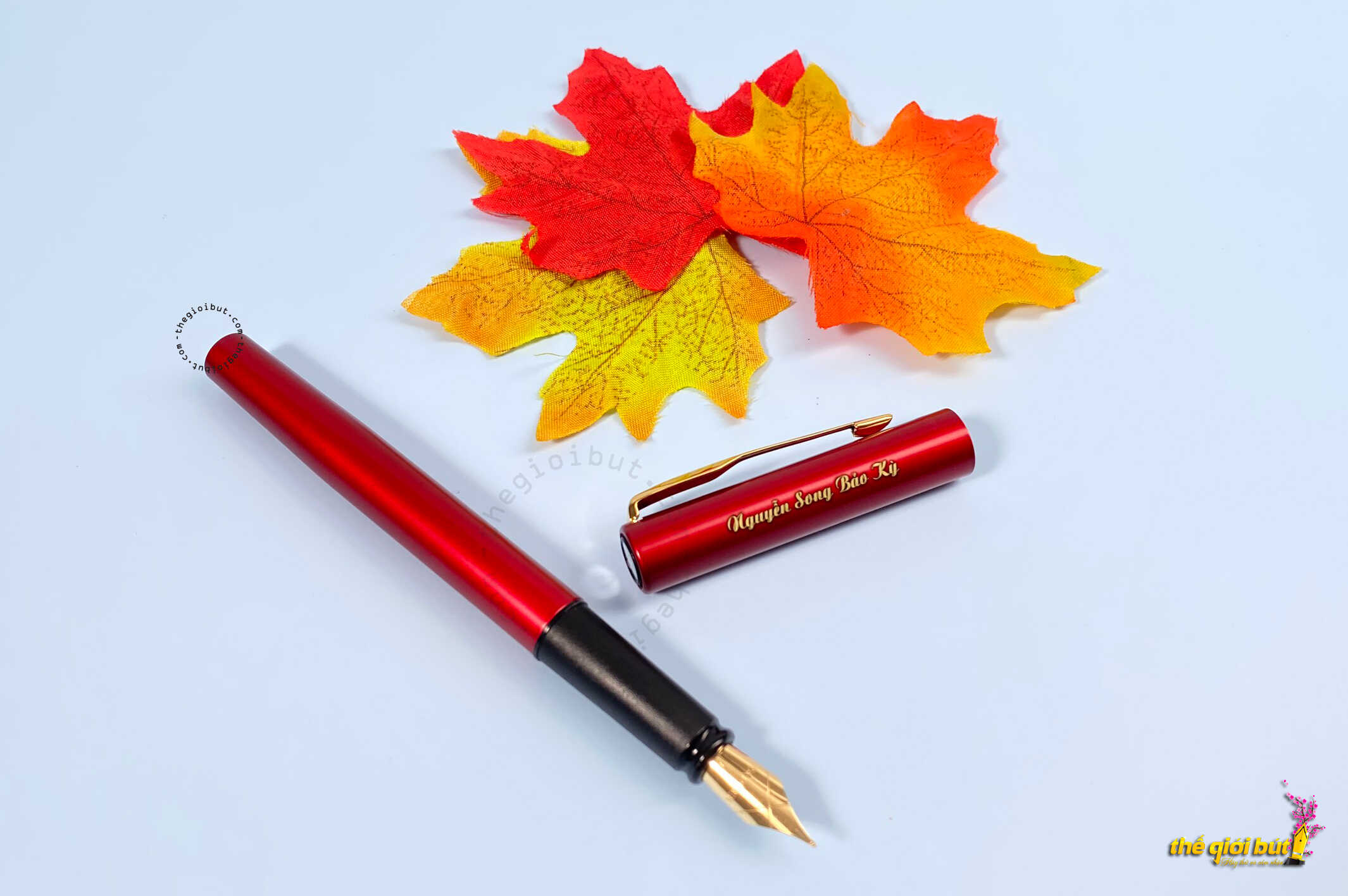 Bút máy Parker Vector XL Red GT Fountain Pen