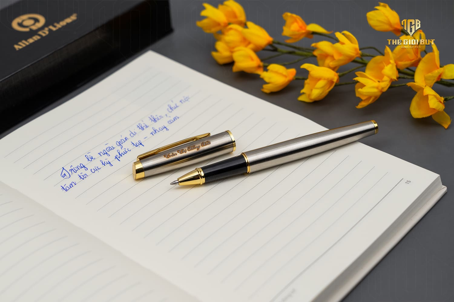 Allan Dlious 120rg 804